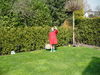 DSC00466.JPG