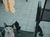 DSC00512.JPG