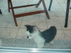 DSC00514.JPG