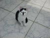 DSC00518.JPG