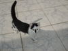 DSC00519.JPG