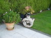 DSC00520.JPG