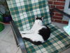DSC00521.JPG