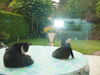 DSC00533.JPG