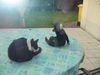 DSC00534.JPG