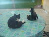 DSC00535.JPG