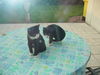 DSC00536.JPG