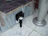 DSC00552.JPG