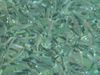 DSCN0044.jpg