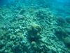 DSCN0065.jpg