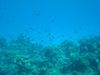 DSCN0071.jpg