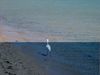DSCN0100.jpg