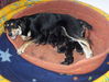 Dateiname : tiere.jpg
Dateigröße : 65KB
Abmessungen : 599x452
hinzugefügt am : 20.Oktober 2006 tiere.jpg